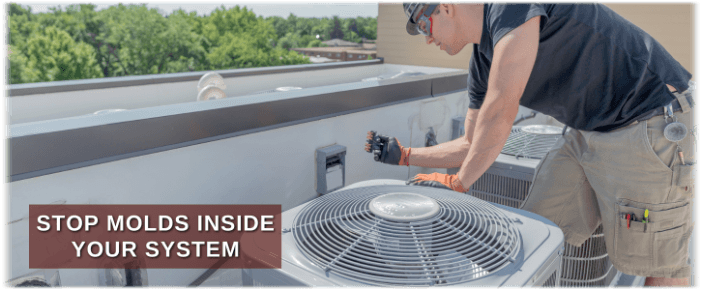 HVAC Mold Removal Red Oak TX